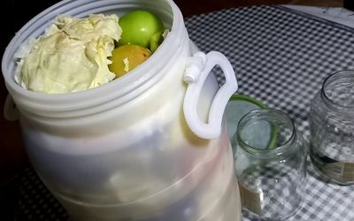 Донација од NOVA International Schools